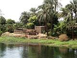Nile scenery